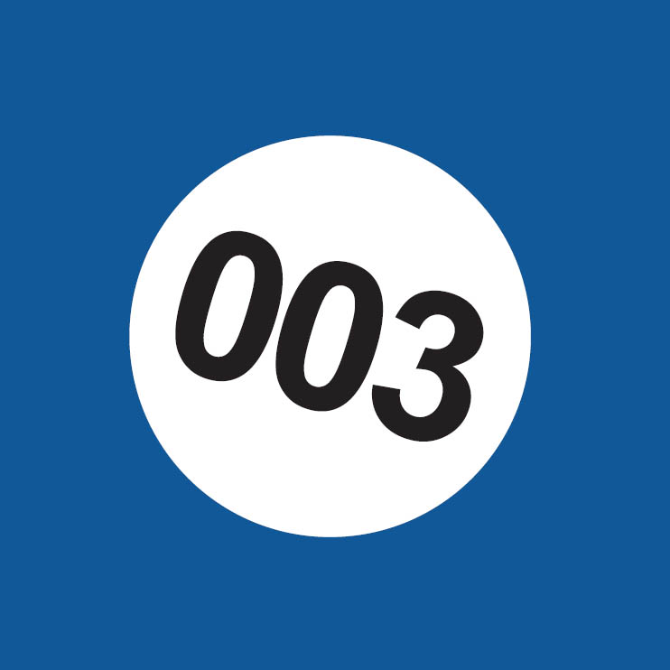 KOM-UDG024: Reference / walkaround book: Tyrrell Ford 003